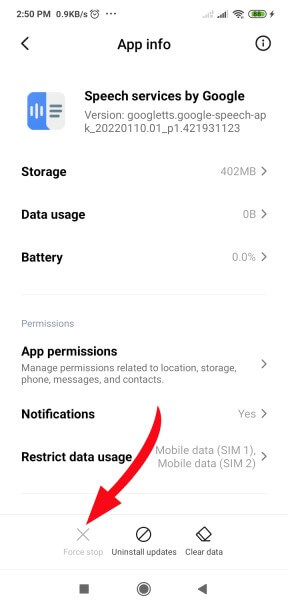 Servicios de voz por Google Actualizar Esperando conexión de red