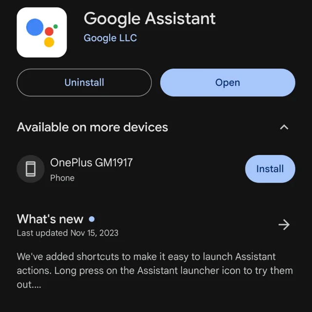 Google Assistant Algo salió mal. Inténtalo de nuevo error